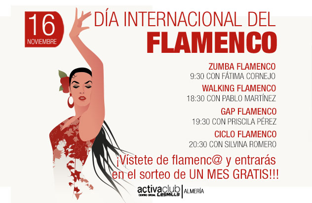 web-flamenco-almeria