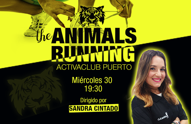 web-ANIMALSrunning-pto
